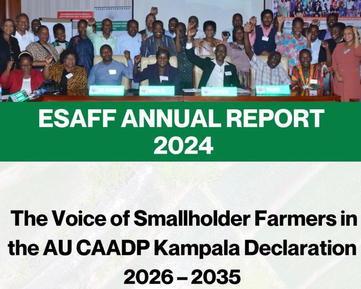 2024 report