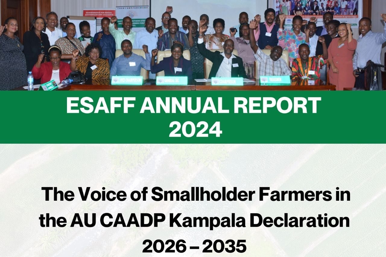 2024 report