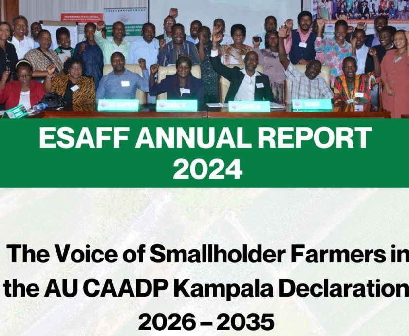2024 report