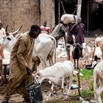 Family Farmers’ Statement will reach COP28