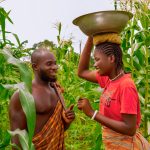 Non-state actors proffer recommendations to make CAADP3 work