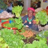 East Africa urged to back farm pledges with cash as food security goals face funding gap